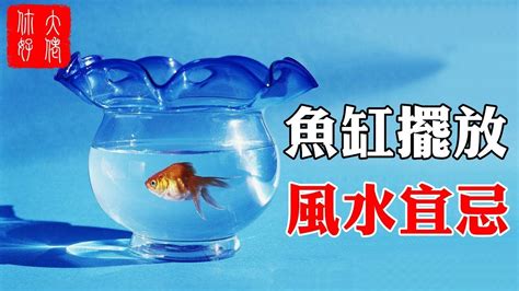 房間養魚破財|魚缸能招財…但千萬別放這些地方！觸犯「5禁忌」反損財 